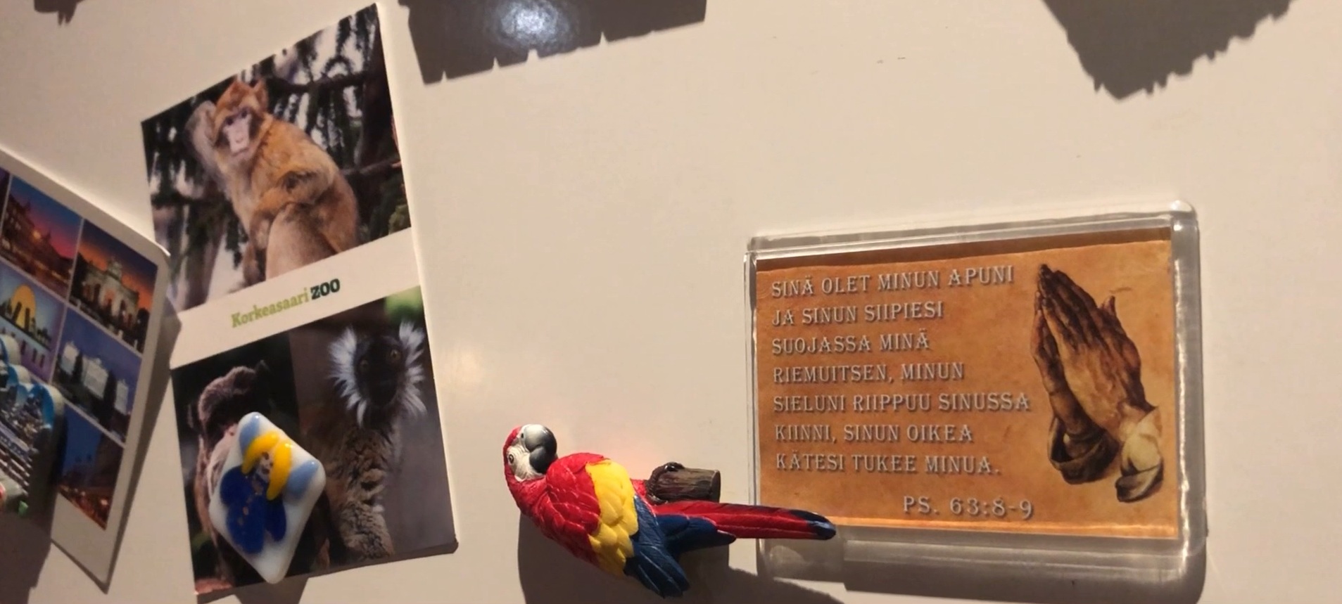 Seinä, jossa on julisteita ja papukaija.