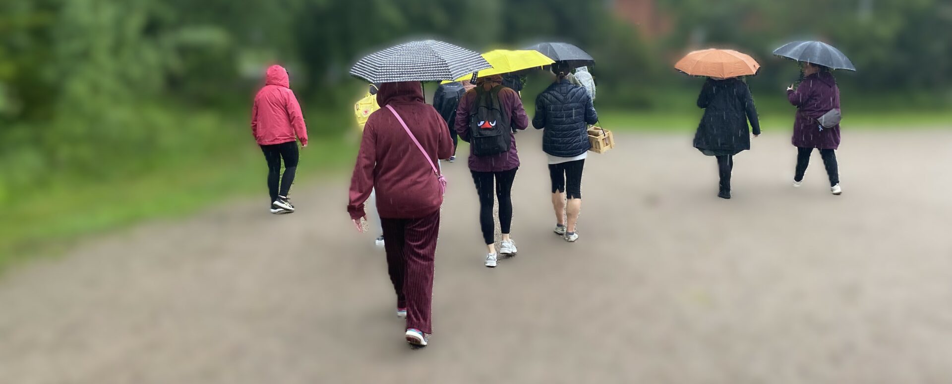 Ryhmä hitaasti eteenpäin käveleviä ihmisiä, joilla on sateenvarjot.
