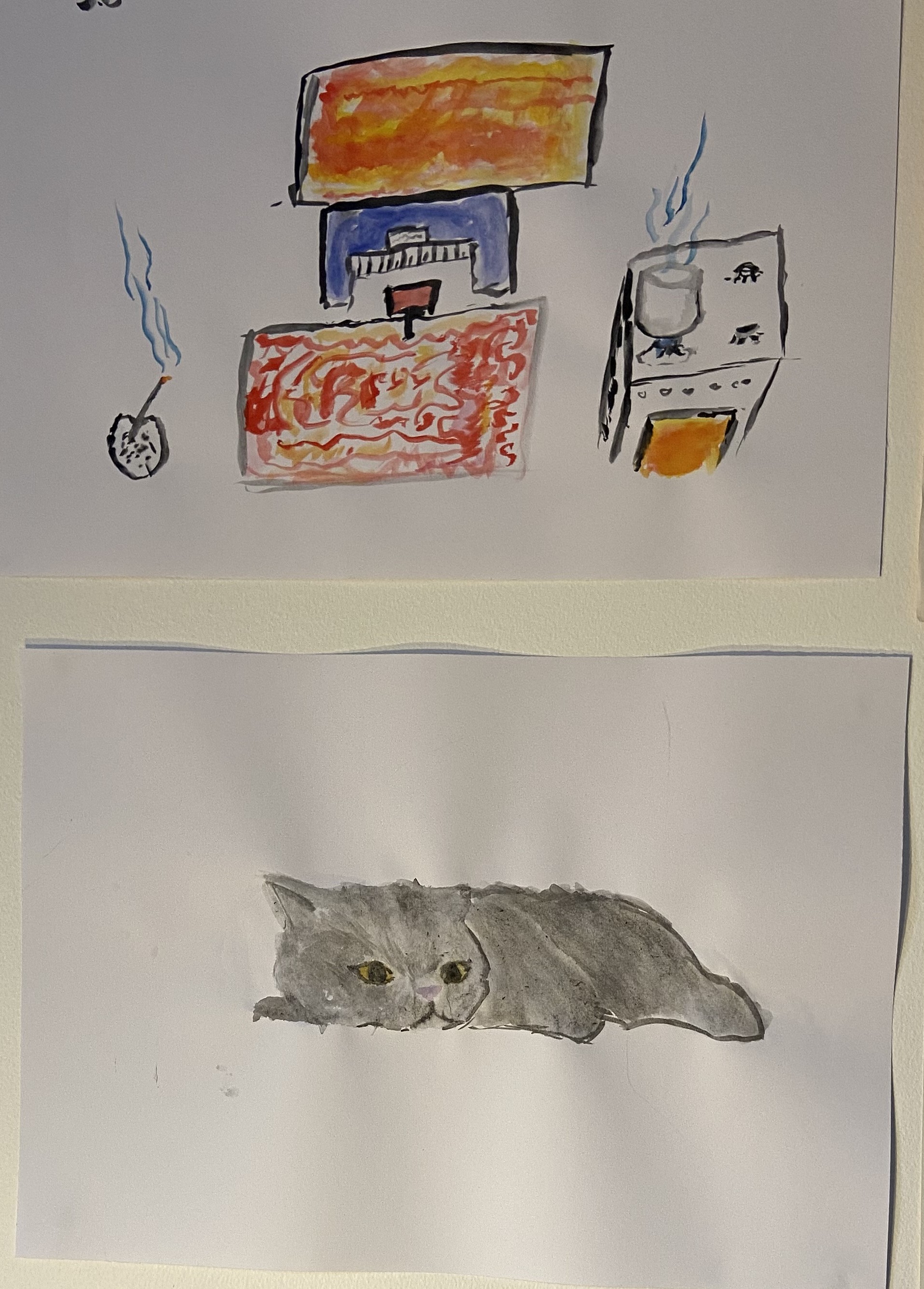 Ylemmässä kuvassa on keittiön kaappeja ja hella ja hellalla kiehuva kattila. Alemmassa kuvassa on nukkuva kissa.