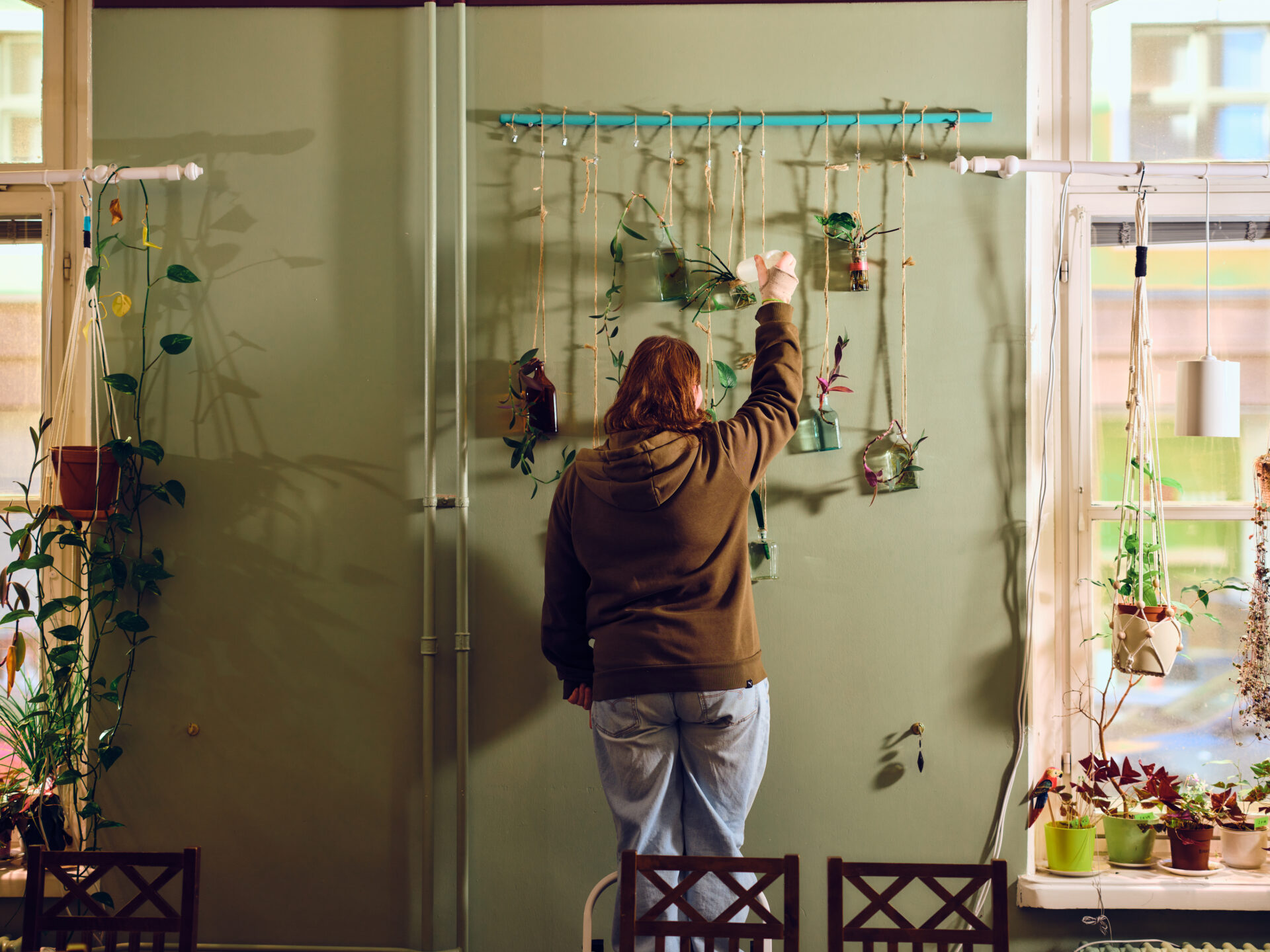 Pitkätukkainen nainen huppari päällä on selin ja tutkii seinällä riippuvia kasveja.